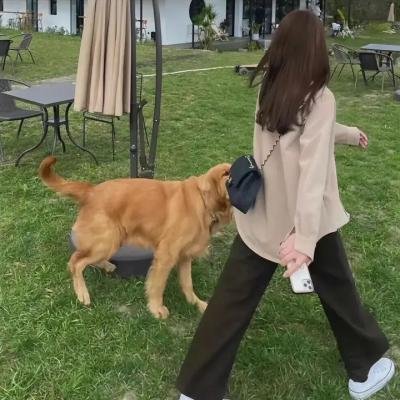 追星病毒